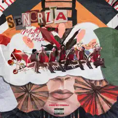 Senorita (feat. MastodonRare) - Single by Matty Dubs album reviews, ratings, credits
