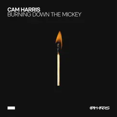 Burning Down the Mickey - Single by Cam Harris album reviews, ratings, credits
