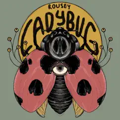 Lady Bug Song Lyrics
