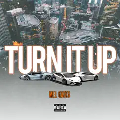 Turn It Up - Single by Mel Gates album reviews, ratings, credits