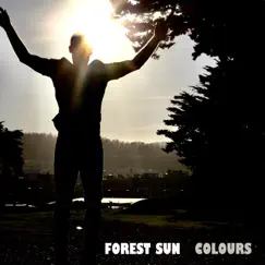 Colours - Single by Forest Sun album reviews, ratings, credits