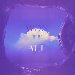 Won It All - Single by NTY MAGNIFY album reviews, ratings, credits