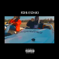 Feds (feat. RED) [Remix] Song Lyrics