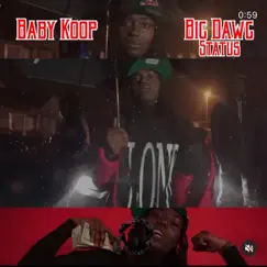 Big Dawg Status - Single by Baby Koop album reviews, ratings, credits