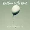 Balloon in the Wind - Single album lyrics, reviews, download