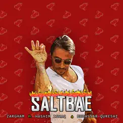 Salt Bae (feat. Mudassar Qureshi & Hashim Ishaq) - Single by Zargham album reviews, ratings, credits