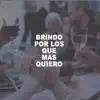 Brindo Por Los Que Mas Quiero - Single album lyrics, reviews, download