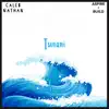 Tsunami (Instrumental) - Single album lyrics, reviews, download