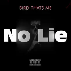 No Lie - Single by Bird Thats Me album reviews, ratings, credits