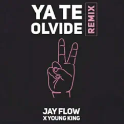 Te Olvide (feat. Encore) - Single by Jay Flow Music album reviews, ratings, credits
