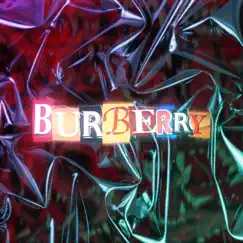 Burberry - Single by Augxsto666 album reviews, ratings, credits