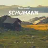 Schumann : Piano Sonatas - EP album lyrics, reviews, download