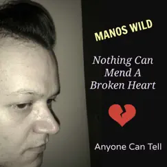 Nothing Can Mend a Broken Heart / Anyone Can Tell - Single by Manos Wild album reviews, ratings, credits