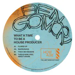 What a Time to Be a House Producer - EP by Ben Gomori album reviews, ratings, credits