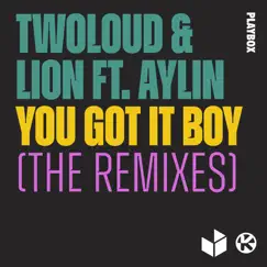 You Got It Boy (feat. Aylin) [VIP Mix] Song Lyrics