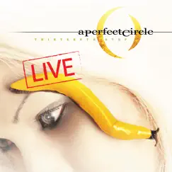 Thirteenth Step - Live by A Perfect Circle album reviews, ratings, credits