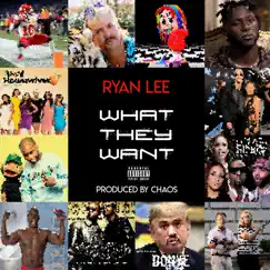 What They Want Song Lyrics