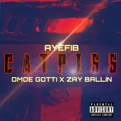 Catpiss (feat. D'moe Gotti & Zay Ballin') Song Lyrics