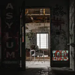 Asylum (feat. Ddan & Abru) Song Lyrics