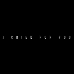 I Cried for You Song Lyrics