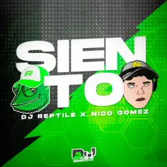 Siento - Single by Dj Reptile album reviews, ratings, credits