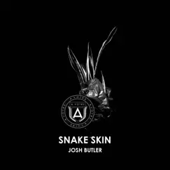 Snake Skin Song Lyrics