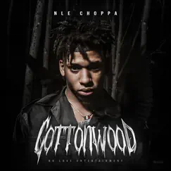 Cottonwood by NLE Choppa album reviews, ratings, credits