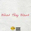 What They Want - Single album lyrics, reviews, download