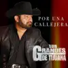 Por una Callejera - Single album lyrics, reviews, download