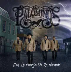 Con la Fuerza de un Huracán by Los Palominos album reviews, ratings, credits