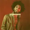 Wondering - Single album lyrics, reviews, download