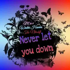 Never Let You Down (feat. Winter Havens & the Niteshft) - Single by Mav' album reviews, ratings, credits