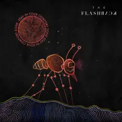 Stay in Your Comfort Zone (Live From SIYCZ) - EP by The Flashback album reviews, ratings, credits