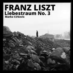 Liebestraum No. 3 in a-Flat Major, S. 541/3 - Single by Marko Cirkovic album reviews, ratings, credits