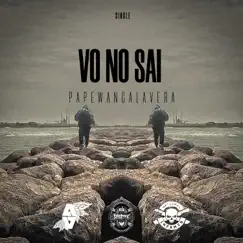 Vo No Sai - Single by Papewancalavera album reviews, ratings, credits
