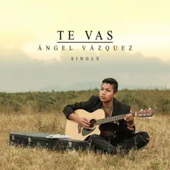 Te Vas Song Lyrics