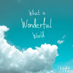 What a Wonderful World - Single by Jacob Cook album reviews, ratings, credits