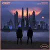 Cry (Remixes) - EP album lyrics, reviews, download
