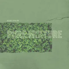 Pure Mixture by Assaf Ayalon album reviews, ratings, credits