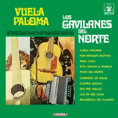 Vuela Paloma by Los Gavilanes del Norte album reviews, ratings, credits