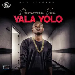 Yala Yolo - Single by Demmie Vee album reviews, ratings, credits