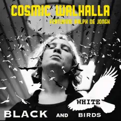 Black and White Birds (feat. Ralph de Jongh) - Single by Cosmic Walhalla album reviews, ratings, credits