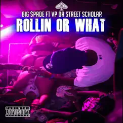 Rollin' or What (feat. VP DA Street Scholar) - Single by Big $pade album reviews, ratings, credits