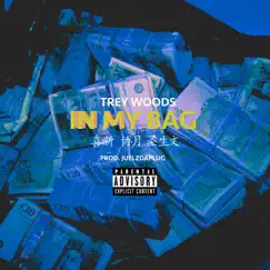 In My Bag - Single by Trey Wxxds album reviews, ratings, credits