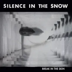 Break in the Skin by Silence in the Snow album reviews, ratings, credits