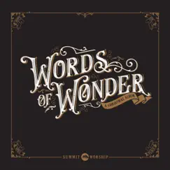 Words of Wonder - EP by Summit Worship album reviews, ratings, credits