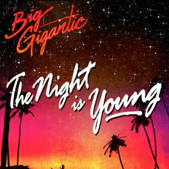 Download The Night Is Young (feat. Cherub) Big Gigantic MP3