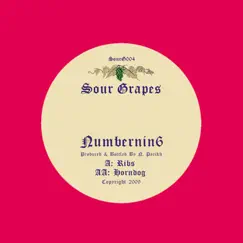 Ribs / Horndog - Single by Numbernin6 album reviews, ratings, credits