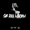 Se dig naken - Single album lyrics, reviews, download