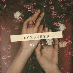 Consumed - Single by Margy album reviews, ratings, credits